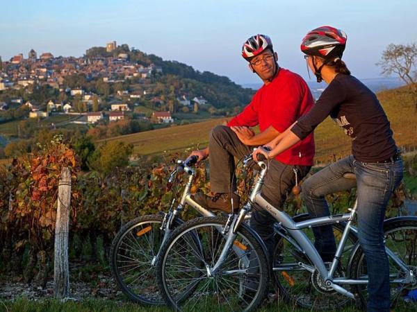 Bike tour in the vineyards around Sancerre