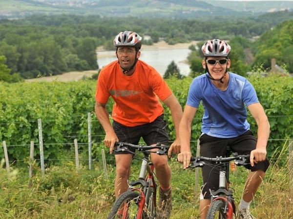 Bike tour in the Sancerre vineyards