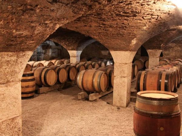 wine cellar in the Burgundy