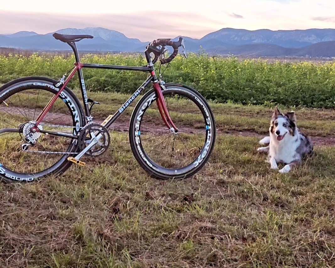 Cycling with a dog