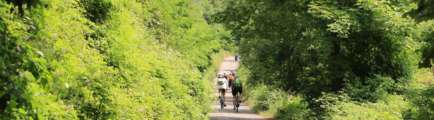 Radfahrergruppe auf dem Ruhrtalradweg beim Hengsteysee | © Adobe Stock / Pixel62