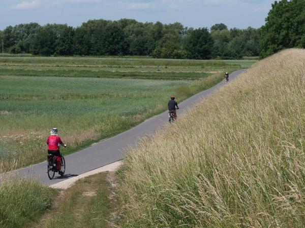 Cyclists on the vistla cycle path