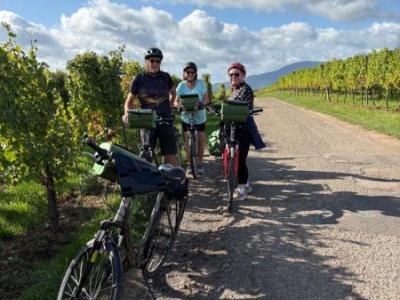 Cyclists having a rest in the vineyards