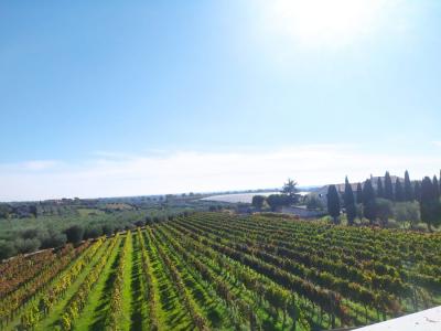 La Meridiana Agriturismo Vinyard