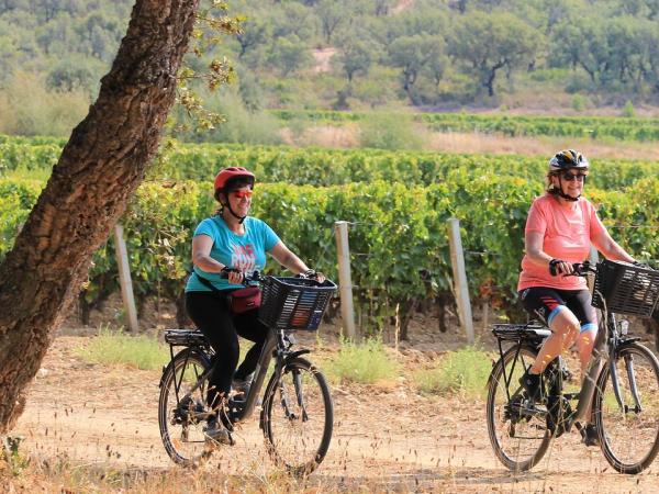 Cycling in the wine region near Le Lavandou