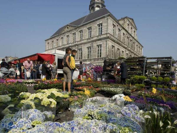 Holland -Maastricht flower market