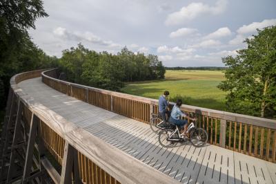 Cycling over the panoramic bridge