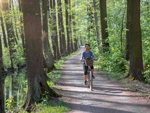 Cyclist on the Cucumber Cycle Path in the Spreewald