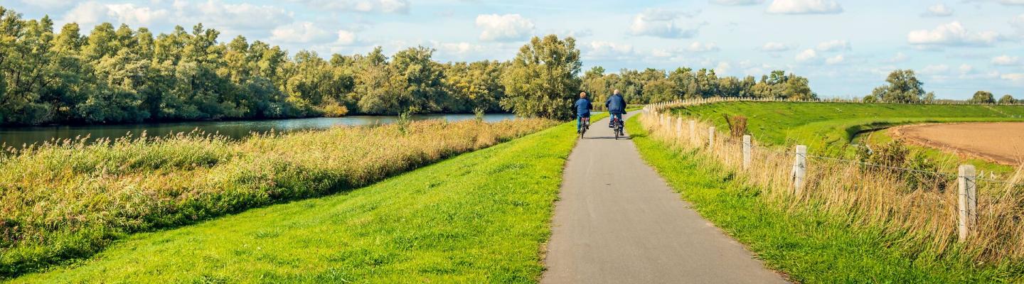 Cycling in National Park De Biesbosch | © Adobe Stock Ruud Morijn 2018