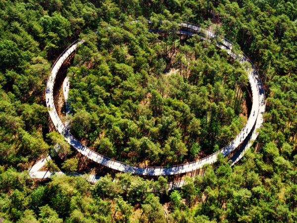 Fietsen door de Bomen from above