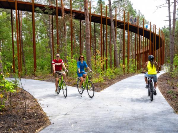 Fietse door de Bomen