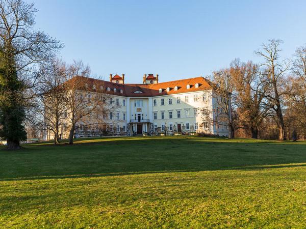 Lbbenau Castle