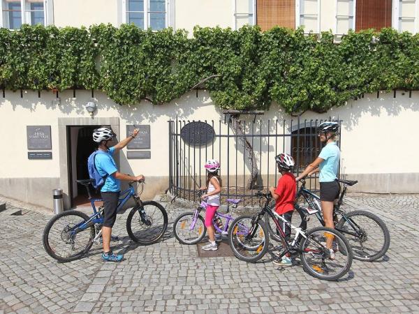 Radfahrer vor ltestem Weinstock in Maribor