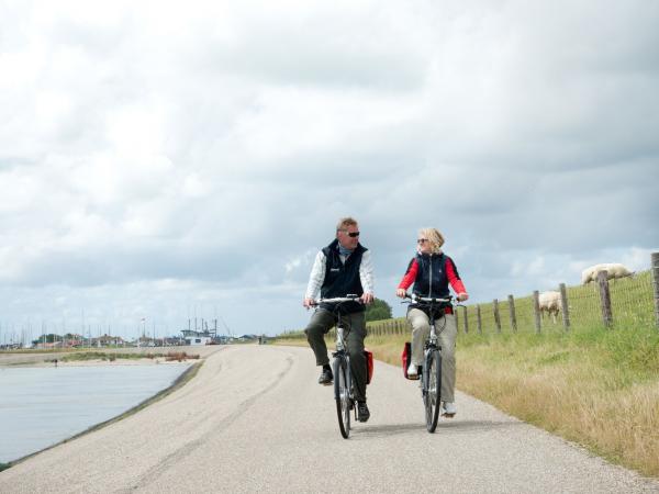 Cyclists next to IJsselmeer