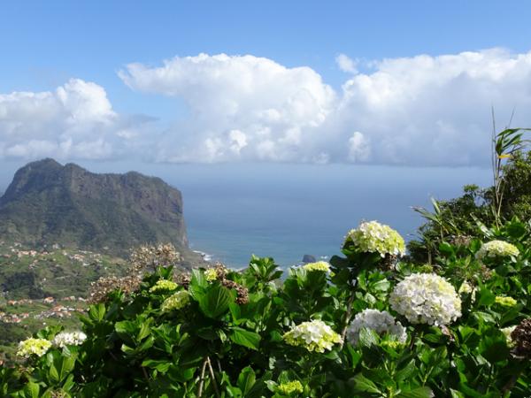 coastline of Madeira
