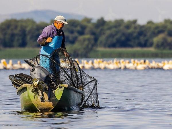 fishermen in a boat with pelicanos in the back  in the danube delta