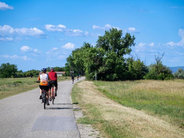 Radfahrer am Neusiedlersee Radweg
