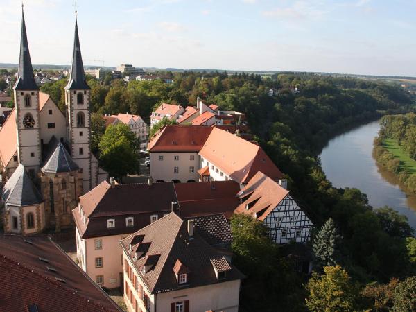 View over Bad Wimpfen