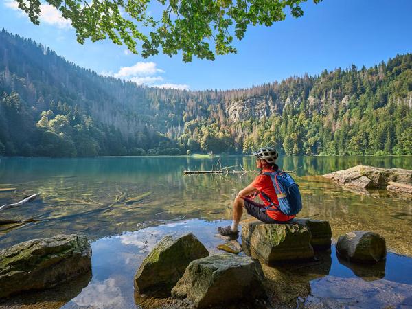 Cyclist at lake Feldsee near Titisee-Neustadt