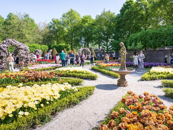 Keukenhof Tulips
