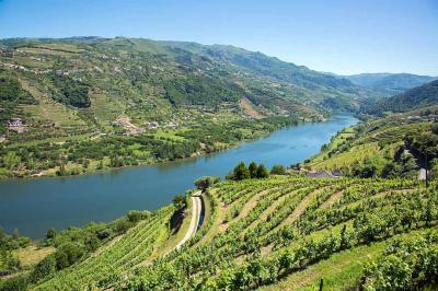 douro valley with wine terraces