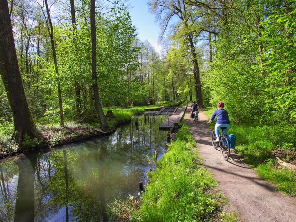 Family cycling near Lbbenau
