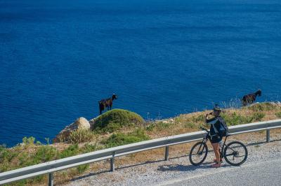 Cyclist with Goat in Amorgos Island