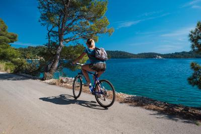 Cycling along the coast in Mljet National Park