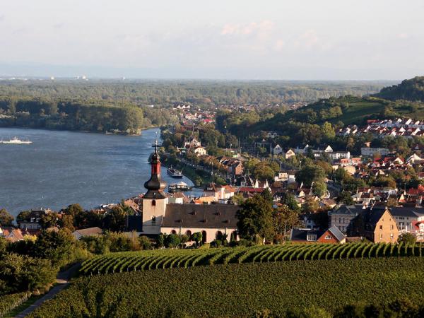 View over Nierstein am Rhein