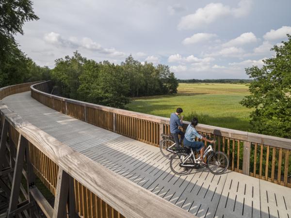 Cycling over the panoramic bridge