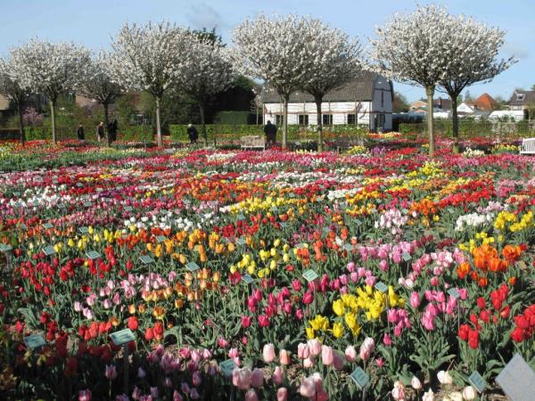 Garden Museum Hortus Bulborum