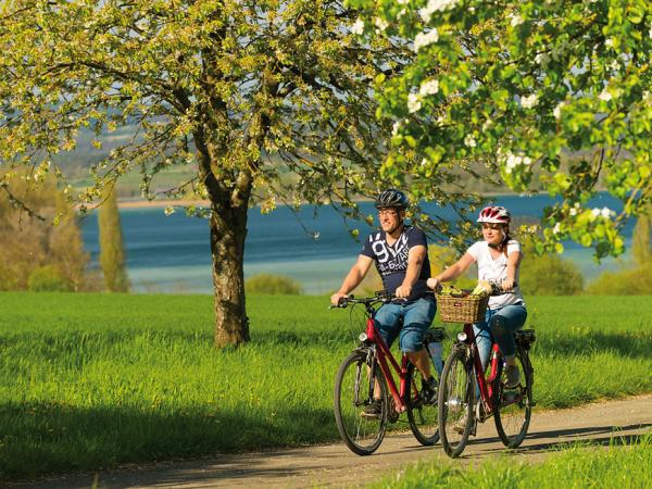 Cyclists at Lake Constance