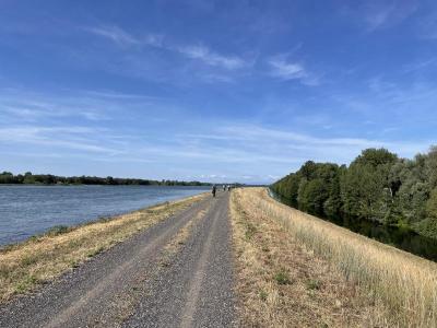Gravel bike path along the river Rhine with blue sky