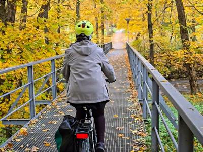Cycling through autumn leaves