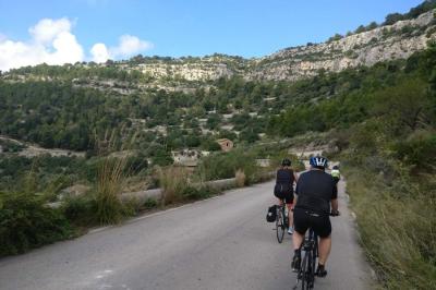 Cyclists in Sicily