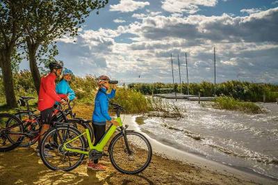 Cyclist on the bank of Lake Neusiedl