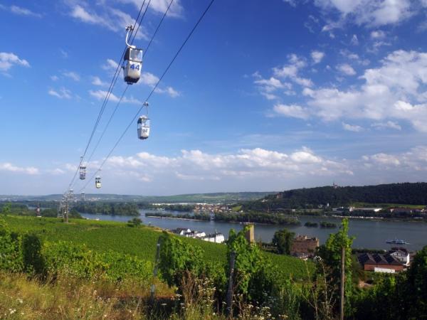 Vineyards near Ruedesheim