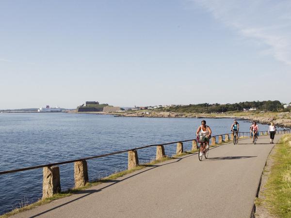 Cyclists along the coast