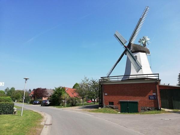 Windmill in Wittenberg