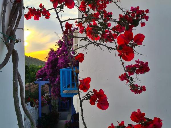 Alonissos Chora flowers at sunset