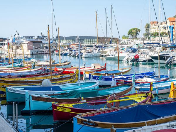 Nice Harbour colorful boats