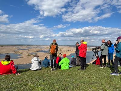 Group watching birds