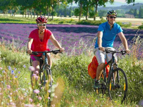 Cyclists at Viviers
