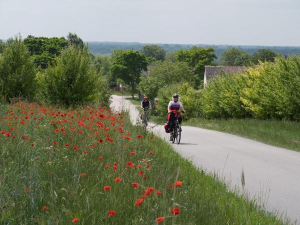 Cyclists on the vistla cycle path