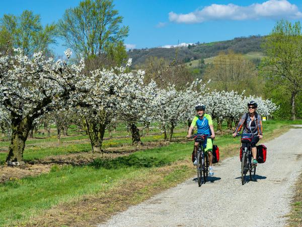 Cyclists near Tournon
