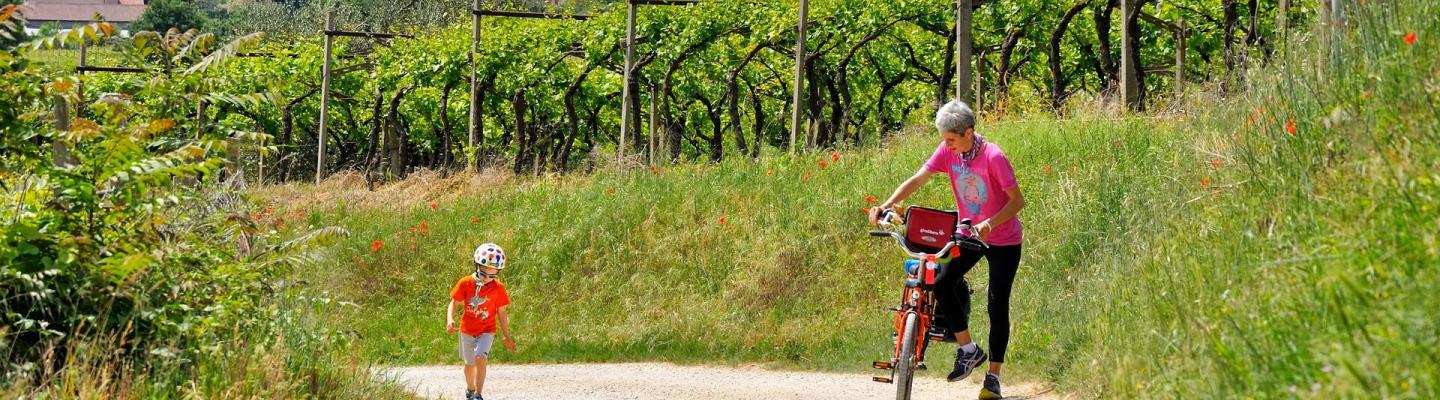 Family cycling lake garda best sale