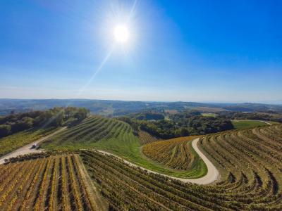 Slowenien - Panorama ueber Weingaerten