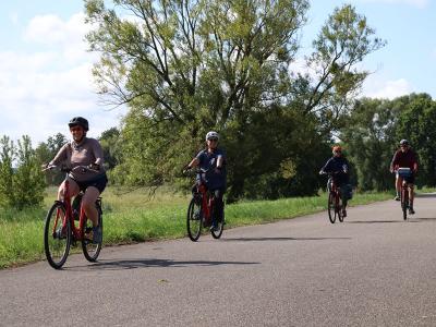 Cycling through the Oder Nationalpark