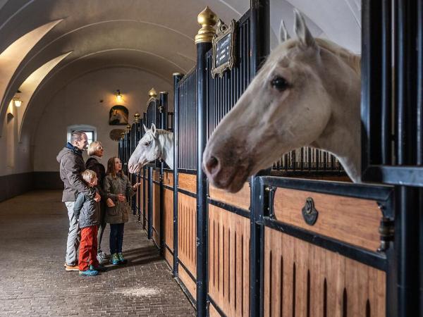 Stables in Lipica