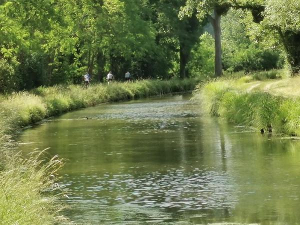 Canal Garonne